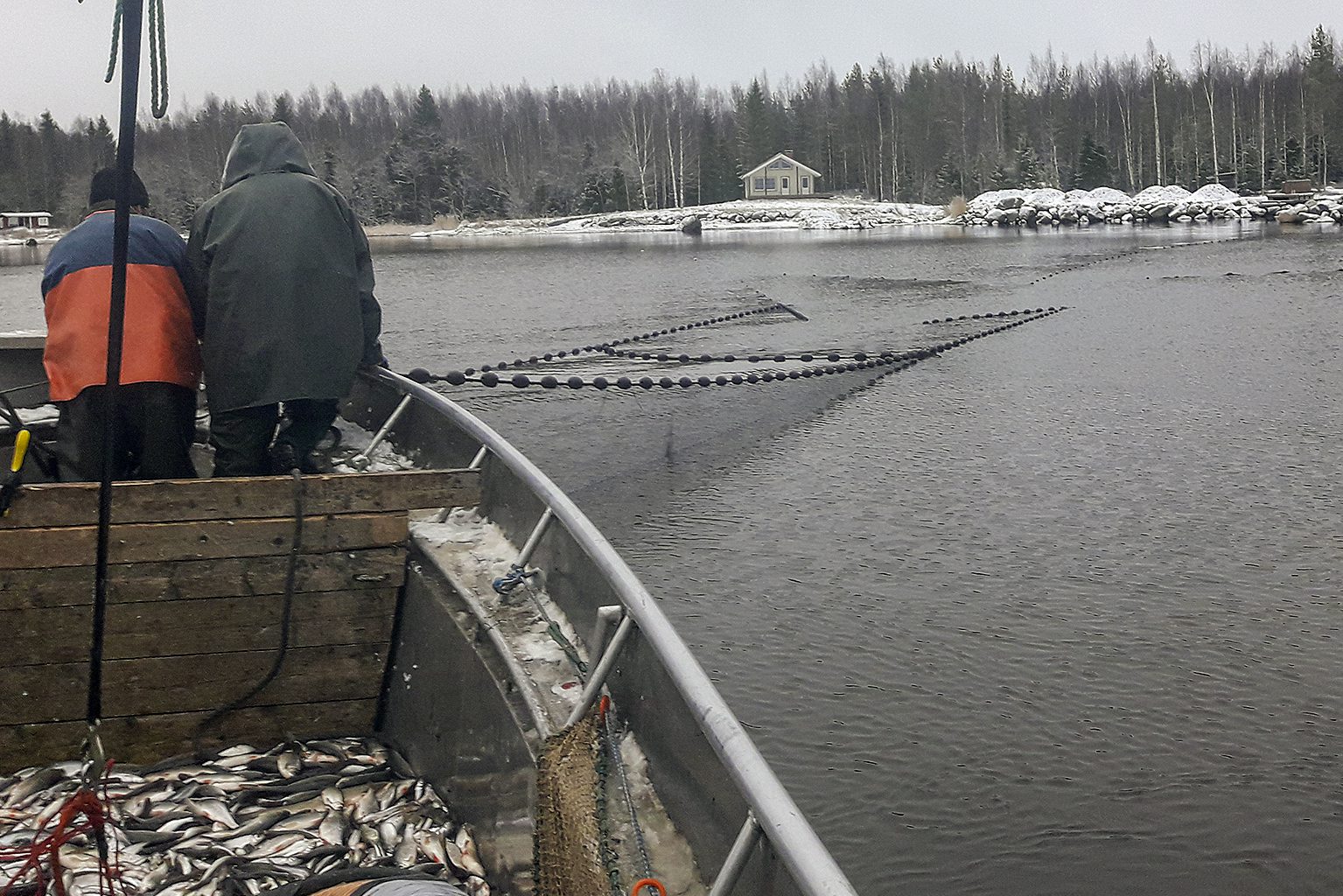 Kuoreen kalastus Pohjanmaalla