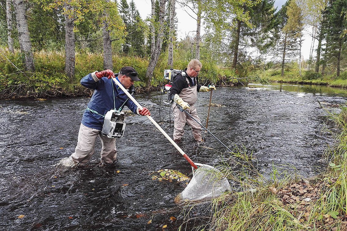 oulun-kalatalouskeskus-sähkökoekalastusta-joella