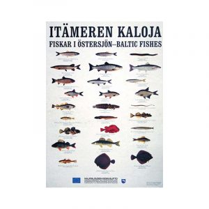 Itämeren kaloja -juliste