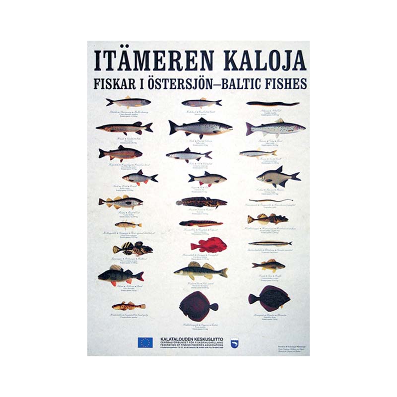 Itämeren kaloja -juliste