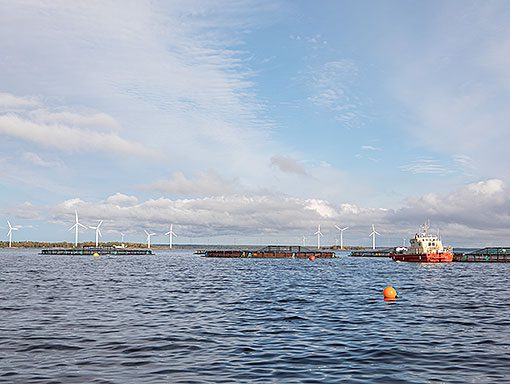 Kuivaniemen osakaskunnan alueella sijaitsee kalankasvatusta.