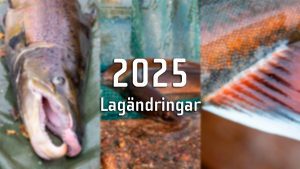 Läs om vilka lagändringar som trätt i kraft 2025