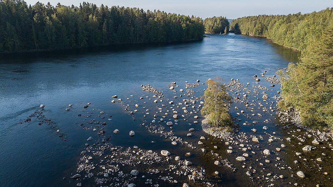 Hämeen kalatalouskeskuksen kalatalousneuvoja Marko Puranen ja toiminnanjohtaja Tomi Ranta sähkökoekalastamassa kunnostettua Kalkkistenkosken Myllyriuttaa.