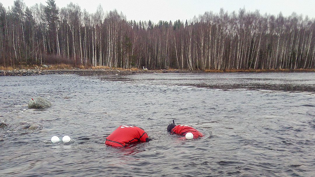Tutkijat suorittamassa kutupesien merkintää Pielisjoen Laurinvirralla.